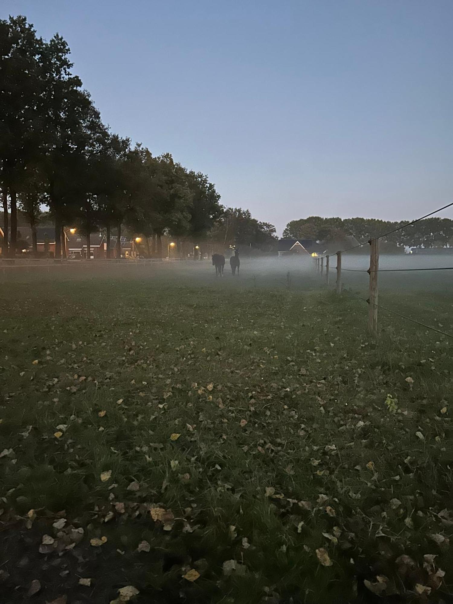 De Cordobahoeve Tweede Exloermond Eksteriør billede